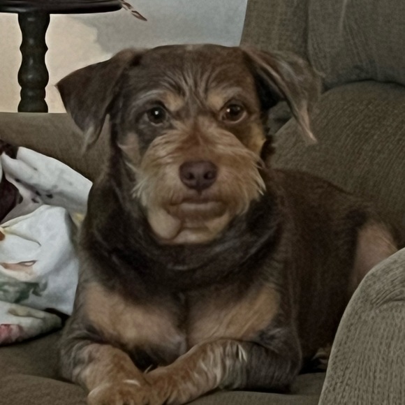 About Me Sylvia avocado2006 - Picture 10 of 11